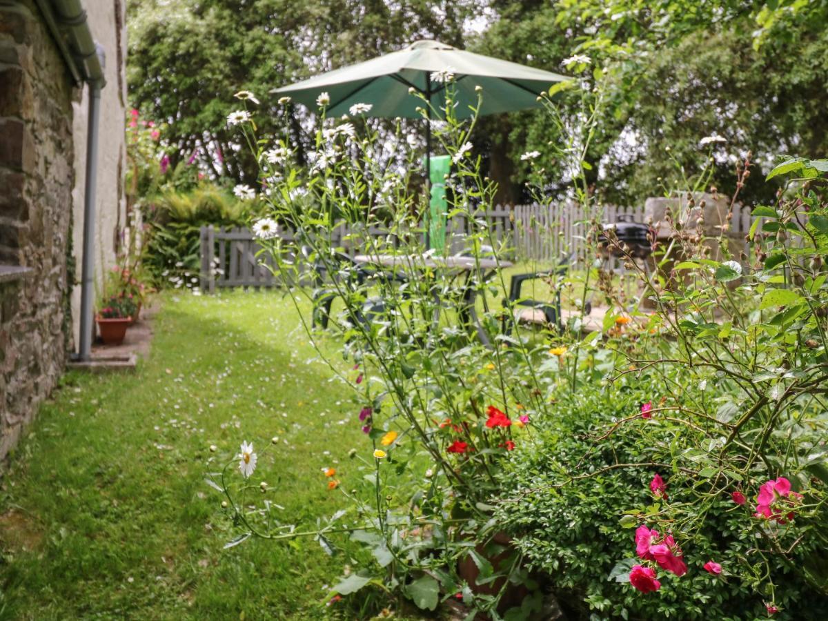 Badger Cottage Mawgan Dış mekan fotoğraf