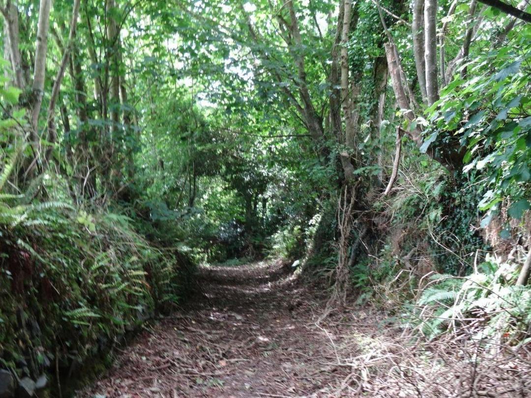 Badger Cottage Mawgan Dış mekan fotoğraf